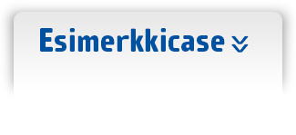 Esimerkkicase